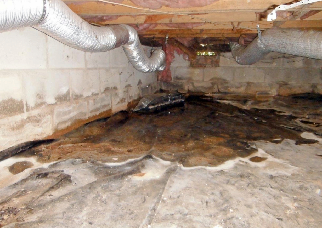 standing water crawl space